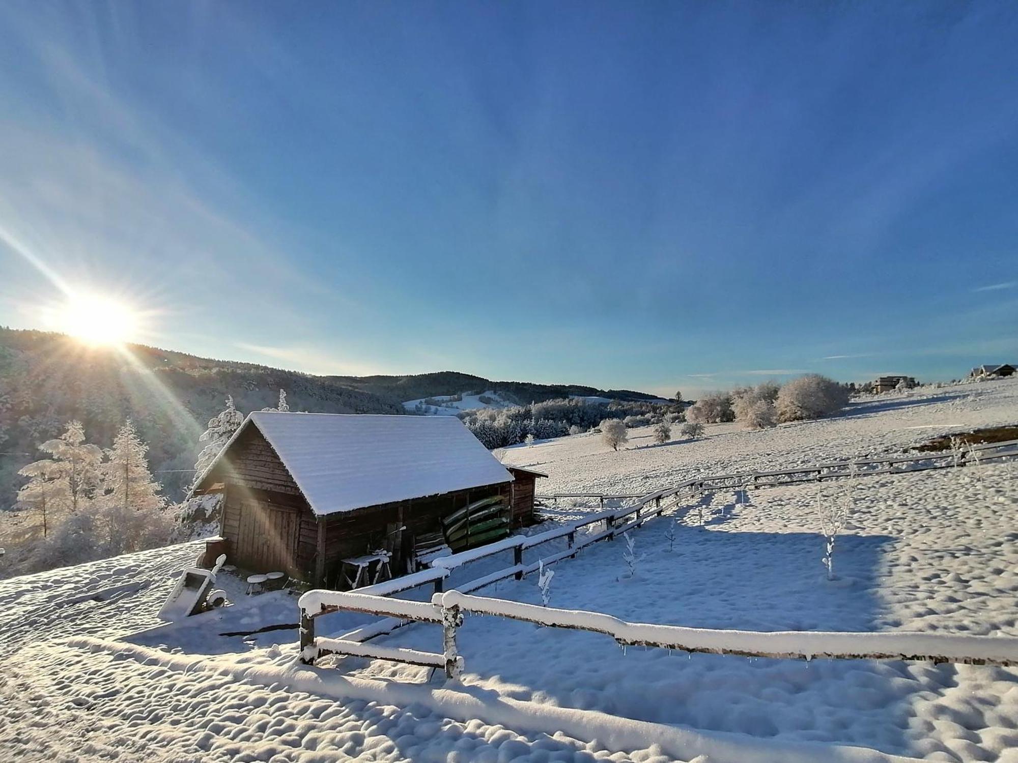 W Bieszczadzie I Z Basenem Bieszczady Апартаменти