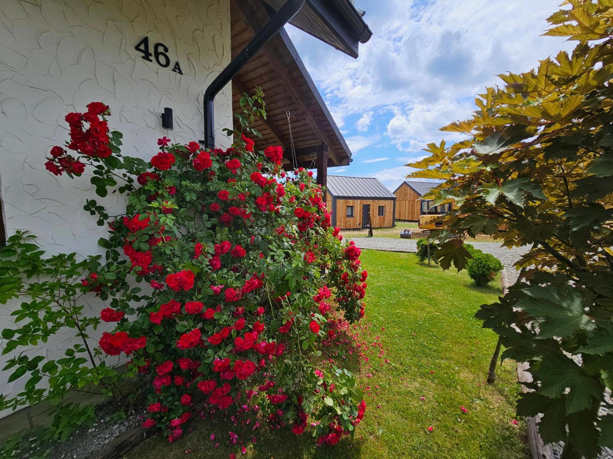 W Bieszczadzie Apartament