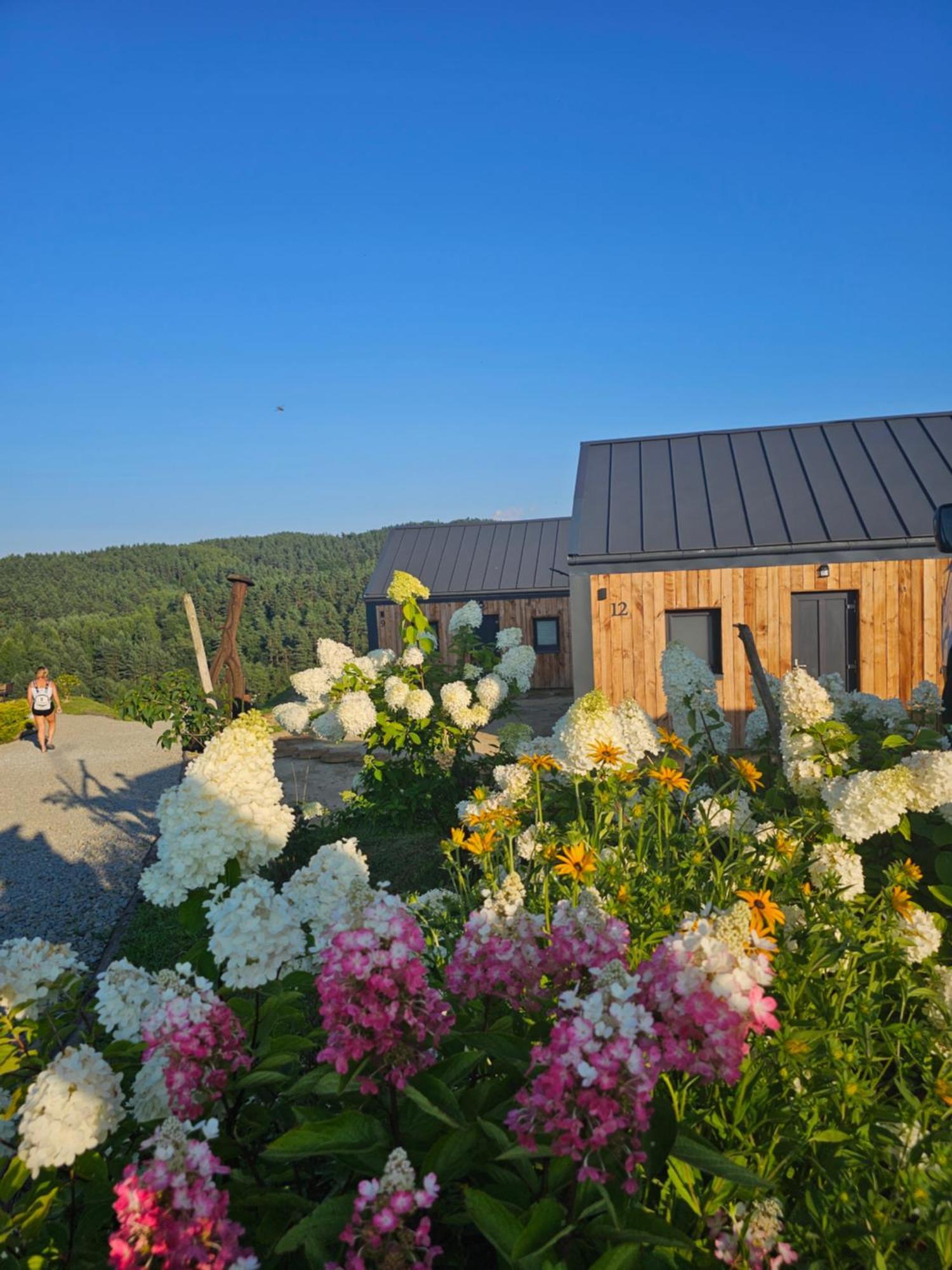 Апартаменти W Bieszczadzie I Z Basenem Bieszczady *